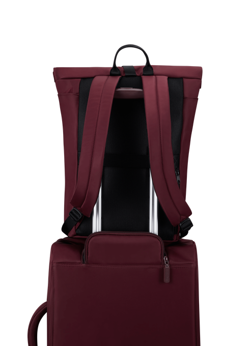 Lipault City Plume Rolltop Backpack  Bordeaux Lipault City Plume Rolltop Backpack  Bordeaux