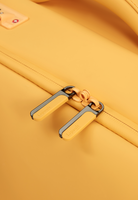 Lost In Berlin Cabin suitcase 55cm