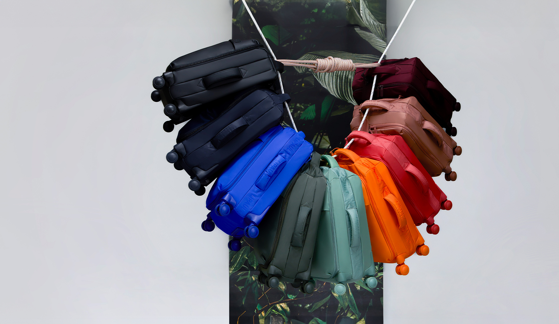 Plume collectie